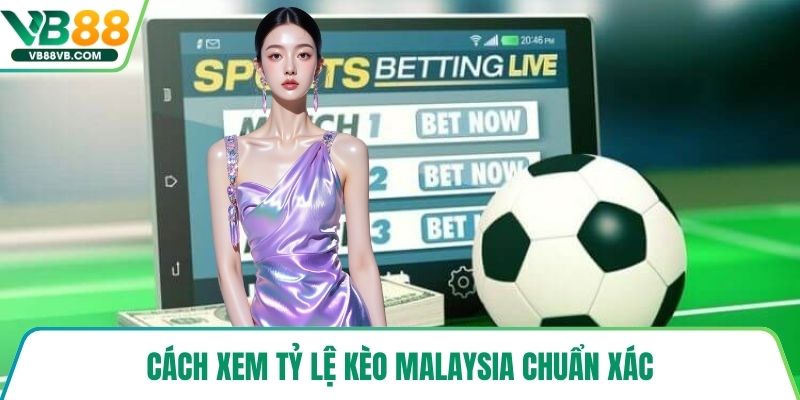 Cách xem tỷ lệ kèo Malaysia chuẩn xác