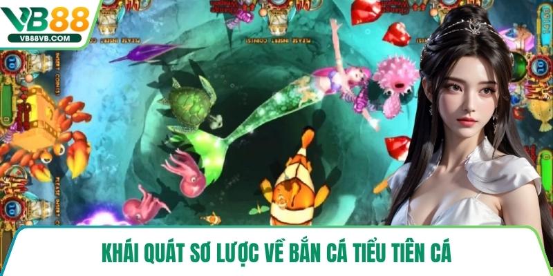 Khái quát sơ lược về bắn cá tiểu tiên cá