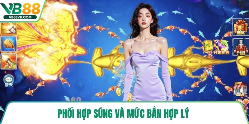 Phối hợp súng và mức bắn hợp lý 